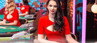 Privasi akun saat membuka tema Caishen